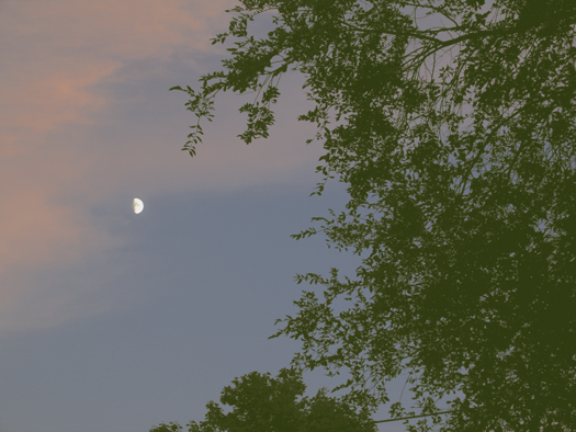Moon at Sunset